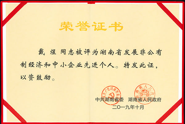 頂立科技戴煜董事長獲評(píng)“湖南省發(fā)展非公經(jīng)濟(jì)先進(jìn)個(gè)人”榮譽(yù) (2).jpg